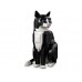 Lego Ideas 21349 Tuxedo Cat